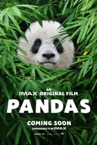 Poster to the movie "Pandas" #1079268