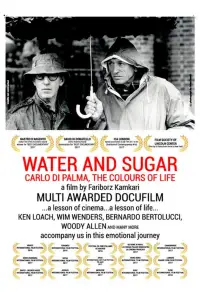 Poster to the movie "Water and Sugar – Carlo Di Palma: The Colours of Life" #1124174