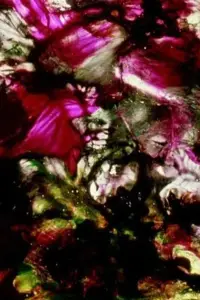 Poster to the movie "The Dante Quartet" #1209346