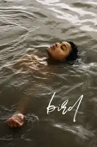 Poster to the movie "Bird" #905359