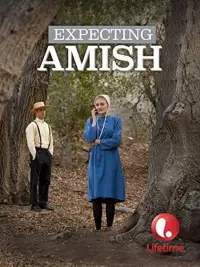 Poster to the movie "Expecting Amish" #972204