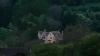 Backdrop to the movie "Phantom Thread" #726318