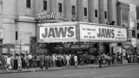 Backdrop to the movie "Jaws @ 50: The Definitive Inside Story" #801982