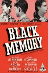 Poster to the movie "Black Memory" #1172106