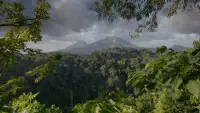 Backdrop to the movie "Le mystérieux volcan du Moyen Âge" #887702
