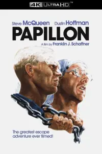 Poster to the movie "Papillon" #942362