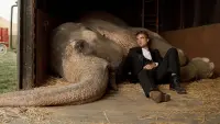 Backdrop to the movie "Water for Elephants" #683959