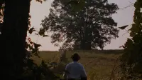 Backdrop to the movie "The Shawshank Redemption" #815822