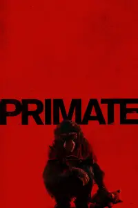 Poster to the movie "Primate" #1019135