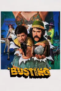 Poster to the movie "Busting" #969808