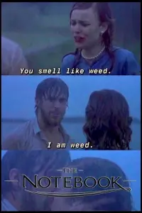 Poster to the movie "The Notebook" #764901
