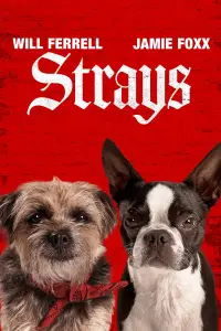 Poster to the movie "Strays" #958827