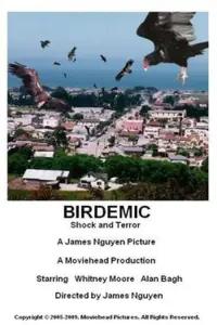 Poster to the movie "Birdemic: Shock and Terror" #996377