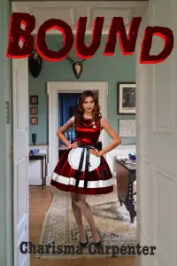 Poster to the movie "Bound" #1096092