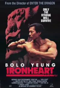 Poster to the movie "Ironheart" #936125