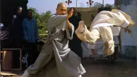 Backdrop to the movie "The Buddhist Fist" #721357