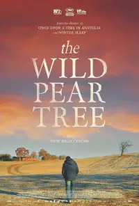 Poster to the movie "The Wild Pear Tree" #1091715