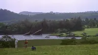 Backdrop to the movie "Jurassic Park" #739256