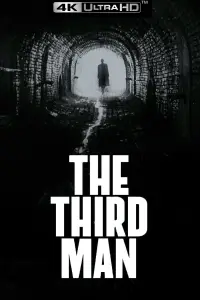 Poster to the movie "The Third Man" #1092880