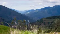 Backdrop to the movie "Gutiérrez: Una deuda pendiente" #539680
