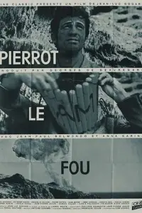 Poster to the movie "Pierrot le Fou" #802495
