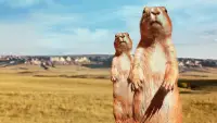 Backdrop to the movie "The Vanishing Prairie" #894881