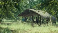 Backdrop to the movie "Uncle Boonmee Who Can Recall His Past Lives" #779337