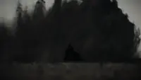 Backdrop to the movie "Dune: Part Two" #689845