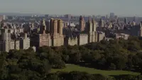 Backdrop to the movie "Glass Onion: A Knives Out Mystery" #777531