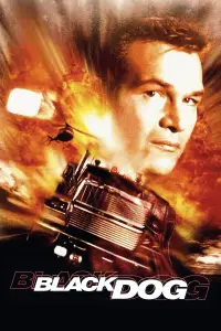 Poster to the movie "Black Dog" #970108