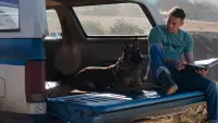 Backdrop to the movie "Dog" #888981