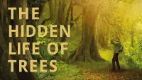 Backdrop to the movie "The Hidden Life of Trees" #1018805