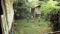 Backdrop to the movie "A Letter to Uncle Boonmee" #879126