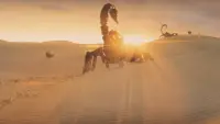 Backdrop to the movie "Clash of the Titans" #819954