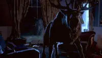 Backdrop to the movie "Bambi: The Reckoning" #699696