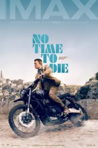 Poster to the movie "No Time to Die" #913511