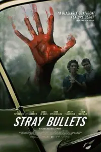 Poster to the movie "Stray Bullets" #706288
