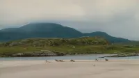 Backdrop to the movie "The Quiet Man" #810977