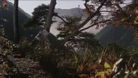 Backdrop to the movie "Satan