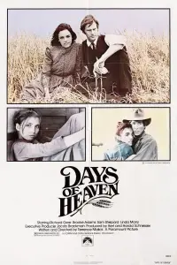 Poster to the movie "Days of Heaven" #969659
