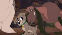 Backdrop to the movie "Lady and the Tramp II: Scamp