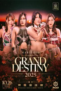 Poster to the movie "Marigold Grand Destiny" #1007272