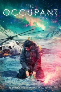 Poster to the movie "The Occupant" #909664