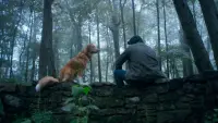 Backdrop to the movie "Good Boy" #836031