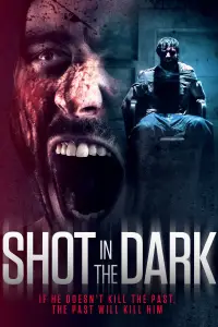 Poster to the movie "Shot in the Dark" #991375
