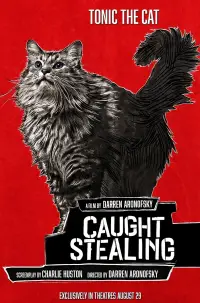 Poster to the movie "Caught Stealing" #897993