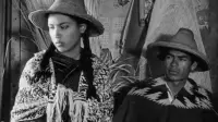 Backdrop to the movie "Roots" #891406