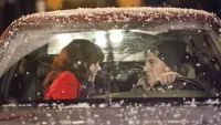 Backdrop to the movie "The Vow" #755567