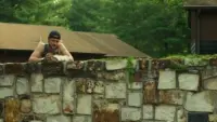 Backdrop to the movie "Gone Girl" #790163