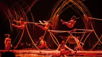Backdrop to the movie "Cirque du Soleil: Amaluna" #795190